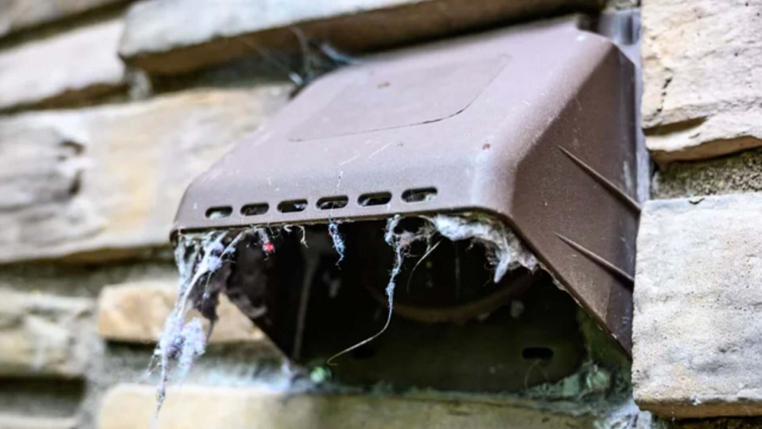 How to Clean an Outside Dryer Vent